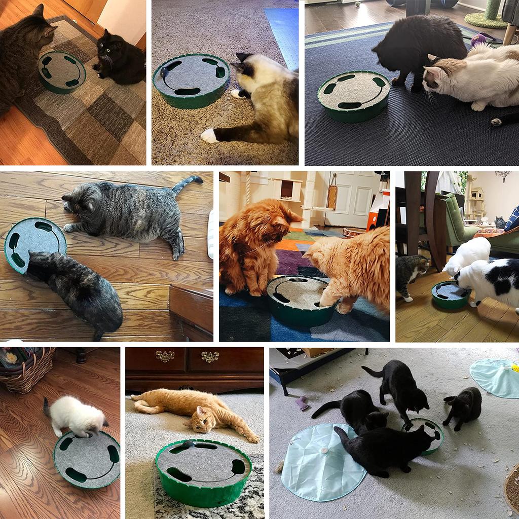 Cat Toy Pawaboo Electric Mouse Capture Hide Chasing Cat Toy Cat Play Exercise Bed GREEN -