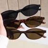 Small Frame Oval Sunglasses For Unisex Lightweight Trendy Sexy Leopard Black Brown Ladies Shades Retro Eyewear Gifts Uv400