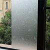 Decoration Insulation Window Privacy Glass Door Glass Stickers Frosted Glass Film Window Stickers