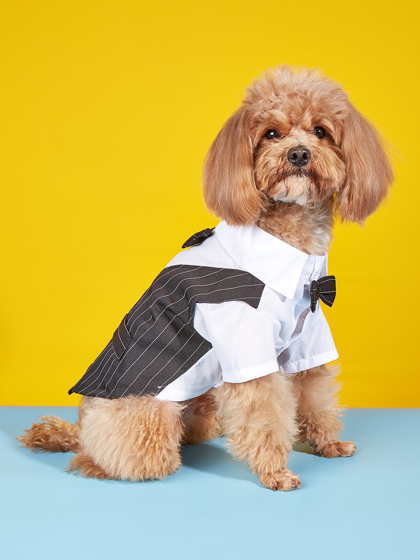 

Платье для взрослых: Хлопковая тонкая рубашка с завязкой для собак (Бишон, Тедди) XXL for 15-20 lb pets