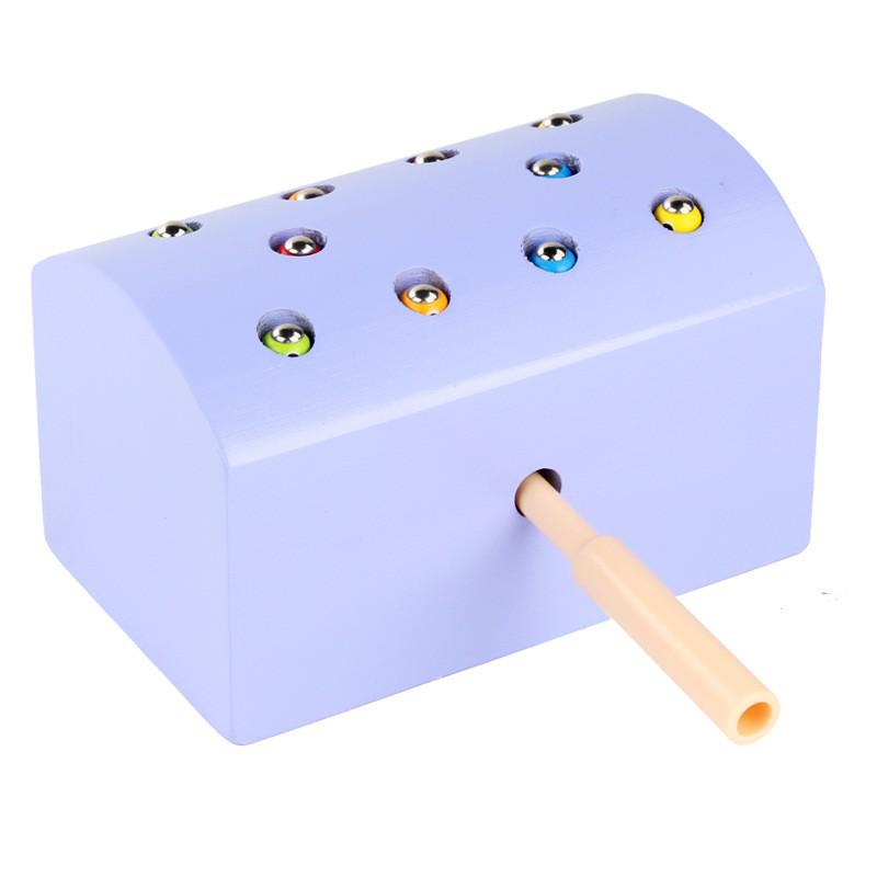 Magnetic Bug Catching Game: Fun Educational Toy for Kids
