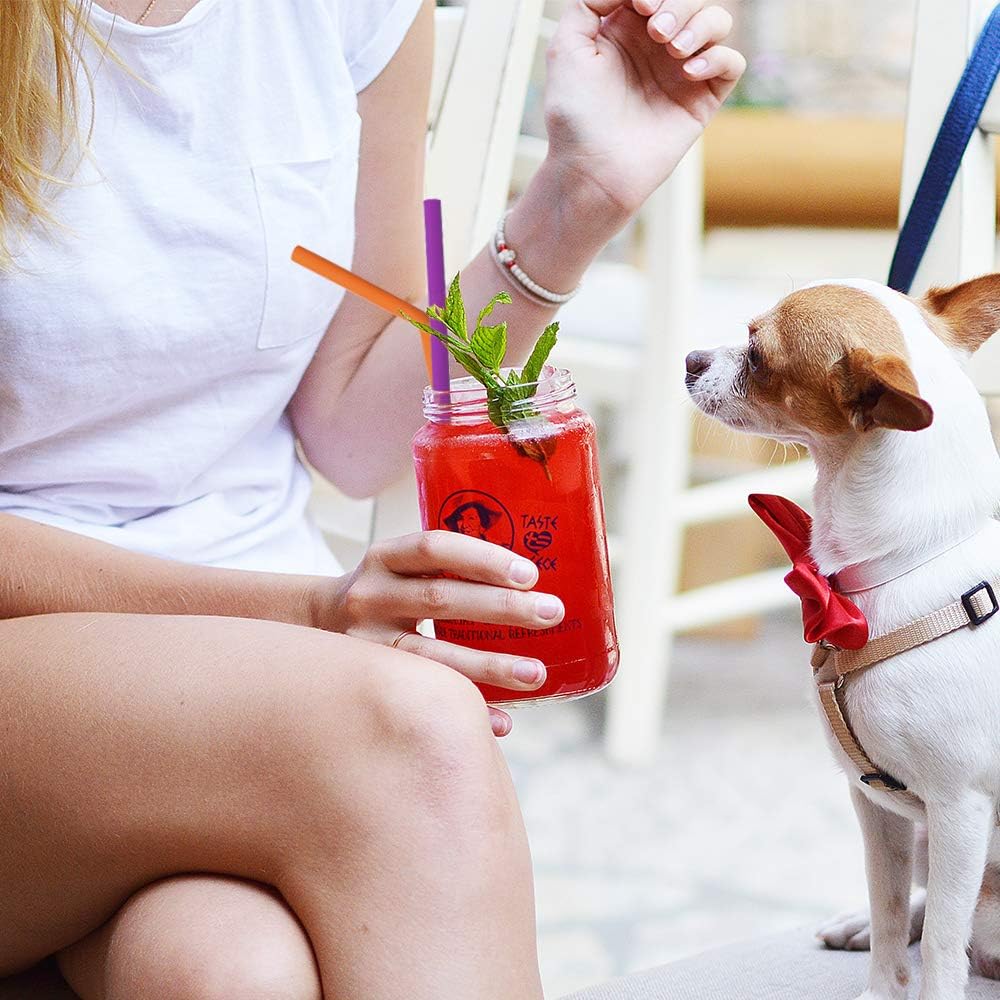 Hiware Reble Silicone Straws, Long Flexible Silicone Drinking Straws with Cleaning Brushes for 30 oz Tumblers - 10 Pieces - BPA-Free - No Rubber