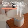 2200ML New USB Double Spray Air Humidifier Essential Oil Diffuser Ultrasonic Air Diffuser Household Aroma Diffuser Humidifier