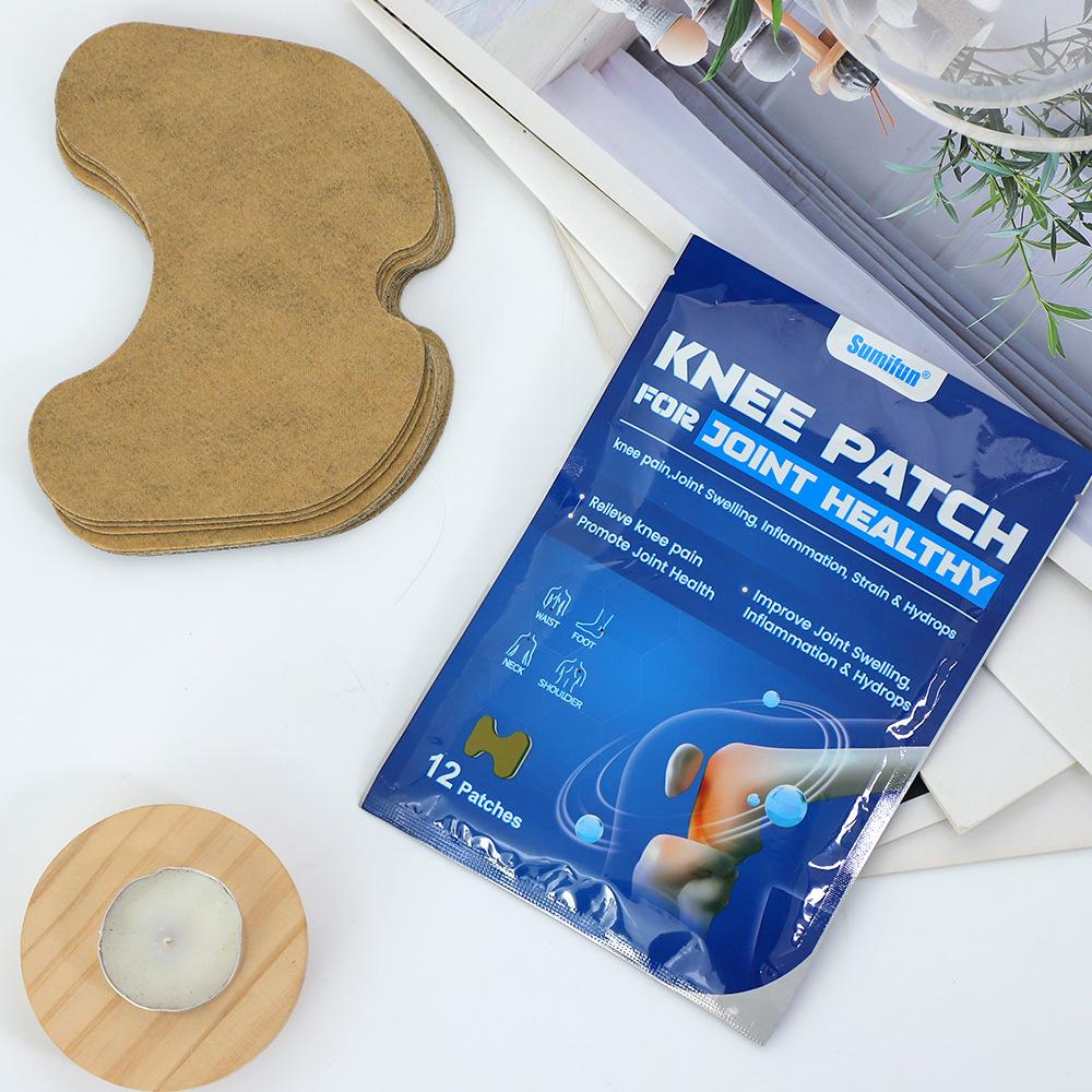 12 Stück/Wermut Kniepflaster Schmerzlinderungspflaster Pflaster Muskelgelenk Aufkleber