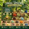 2026 Acrylic Frog Themed Advent Calendar Blind Box