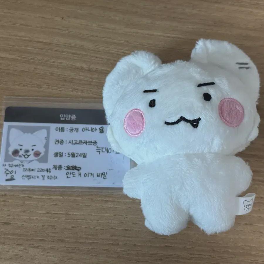 

Сколько стоит Play Amphigae