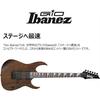 GIO Ibanez Electric Guitar for Beginners (Black Flat) GRG121DX-BKF