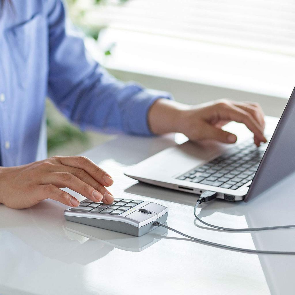 Sanwa Supply Ziffernblock-Maus NT-MA1