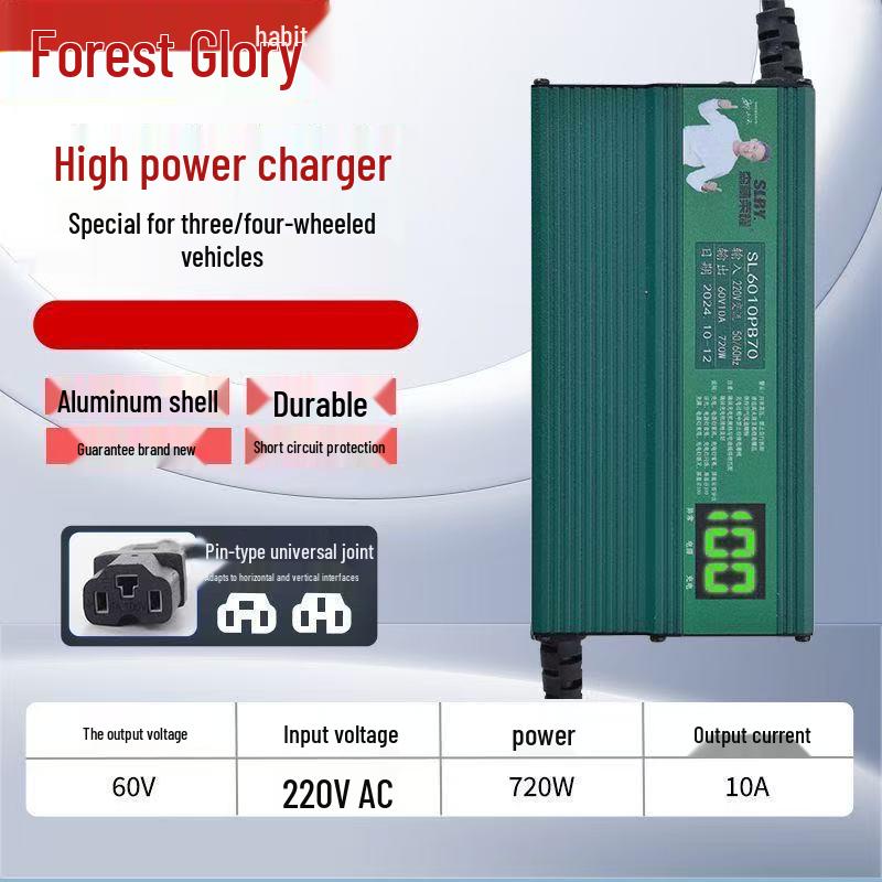 Hochleistungs-Elektroladegerät für 48V/60V/72V Blei-Säure-Vierräder und Dreiräder