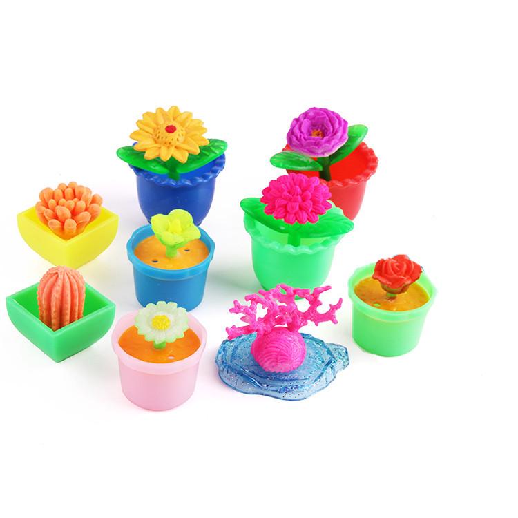 Water-Expanding Cactus Succulent Toys - Creative, Unique & Novel Gifts for Kids