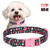 Printed flower pet collar x medium and large dog collar