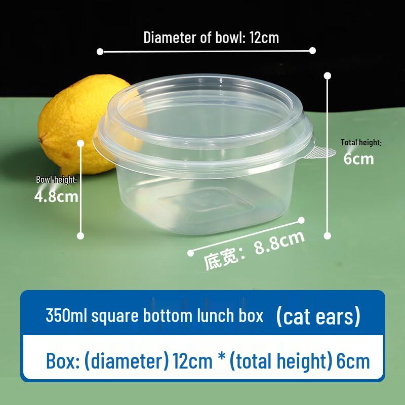 Disposable Food Containers