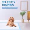 Super Absorbent Quick-Dry Disposable Pet Pee Pads for Dogs & Cats – Healthy Training Nappy Mat