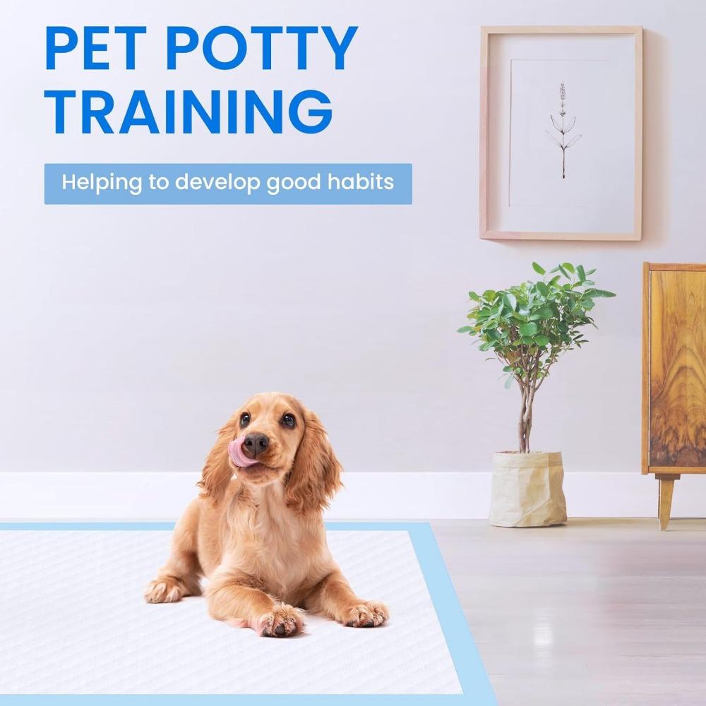 Super Absorbent Quick-Dry Disposable Pet Pee Pads for Dogs & Cats – Healthy Training Nappy Mat