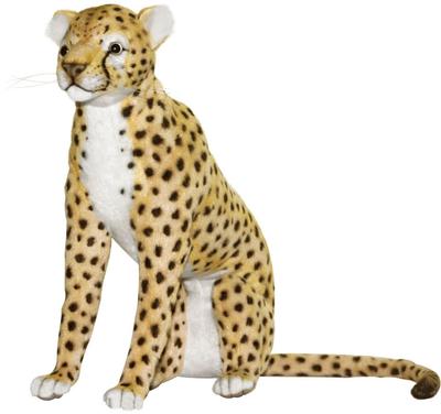 BH7268 HANSA Cheetah 29