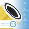 Core 300S 300 P350 Compatible Replacement Filter 2 Pack Enhanced Dust Odor Pet Hair Air Purifier Filter