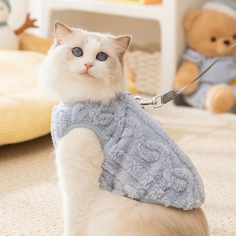 Cat clothes Autumn and winter adult kitten hairless cat warm two-legged fleece dog teddy than bear pet clothing