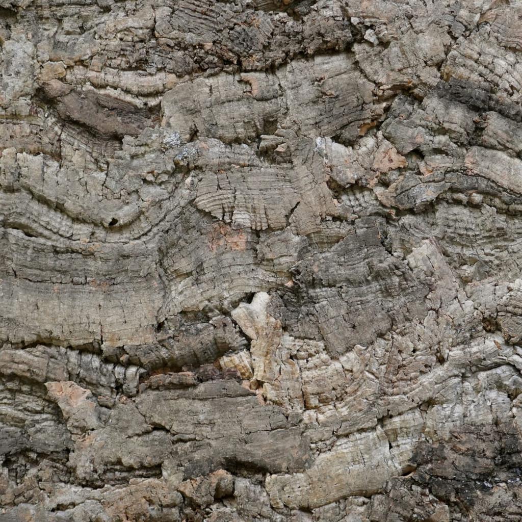 BioVirgin Cork Background Grey 30x30cm cork background for terrariums