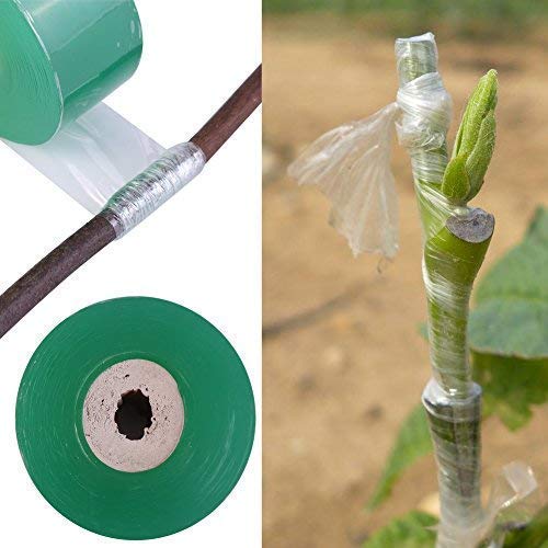 5pcs Grafting Film Stretchable Garden Grafting Tape Plants Repair Tapes for Floral Fruit Tree and Poly Budding Tap