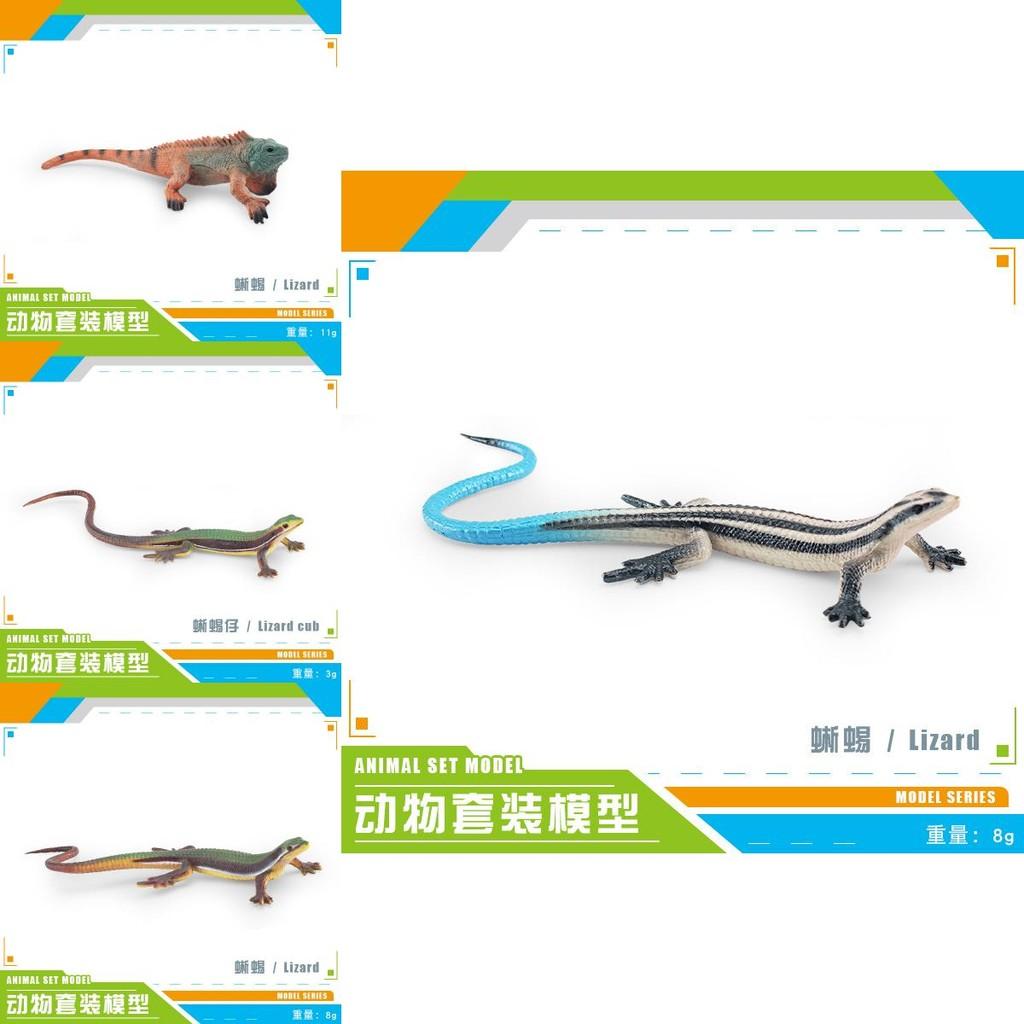 Vibrant Colorful Lifelike Plastic Lizard Model Ideal For Creative Home Decoration And Collectibles