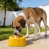 Slow Feeder Lick Mat for Dogs Spill Proof Liquid Slow Feeder Bowl with Non Slip Base Interactive Lick Pad for Yogurt Broth Paste Pet Calming Tre