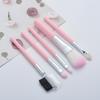 5-Piece Pink & Black Makeup Brush Set: Eyeshadow, Lip, Blush, Eyelash Brushes