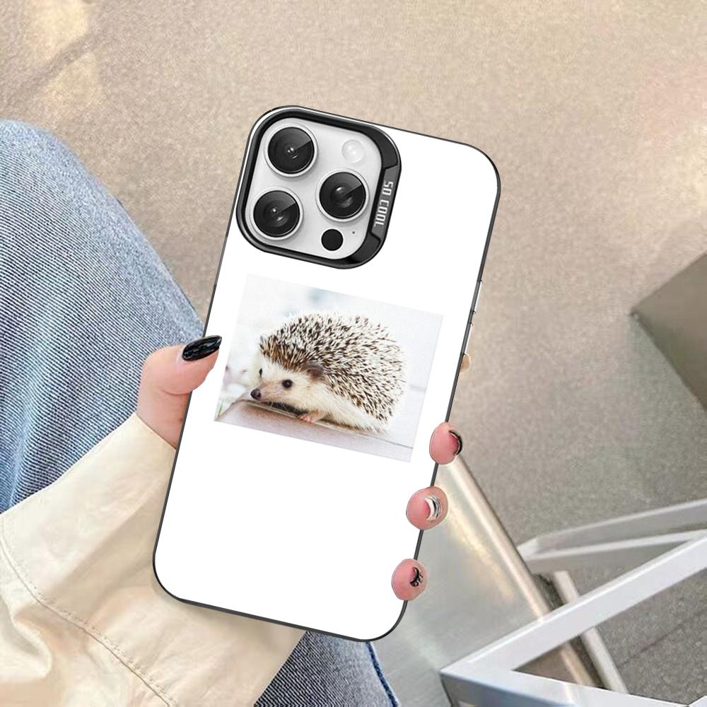 Cute Animal Hedgehog Phone Case For IPhone 16 15 14 13 12 11 Pro Max X XR XSMAX 8 7 Plus Matte Shockproof Back Cover