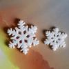 Moss Micro-landscape Decorative Items Christmas Snowflake Resin Handicraft Decorative Items Mobile Phone Case Accessories