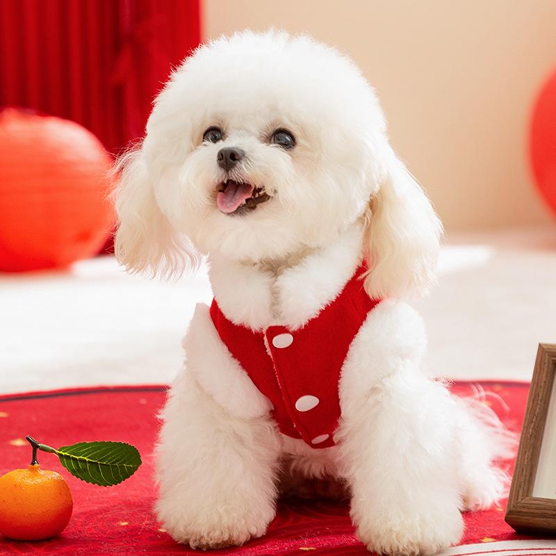 Dog clothes New Year's contrasting color rough edge Nafu festive New Year's greeting teddy bear velvet warm clothing