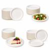 Eco Plate Made Of Sugar Cane Pulp