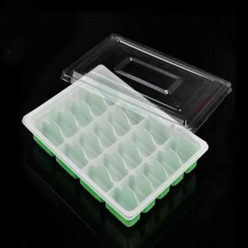 JingJingRS Disposable Divided Dumpling & Meal Box