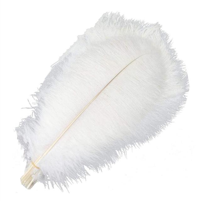 10Pcs/Lot New Colored Ostrich Feathers for Crafts White Black Feather Decor Table Centerpieces Jewelry Handicrafts Decoration