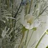 12PCS Artificial Light Pink & White Flowers with Stems 60cm Long Stem Artificial Wildflowers Faux Cosmos Flowers for Vase Plastic Flowers Floral