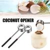 Stainless Steel Manual Coconut Opener Puncher 1Pc Professional Coconut Hole Punch Tool for Coconuts Nuts Hard Shells