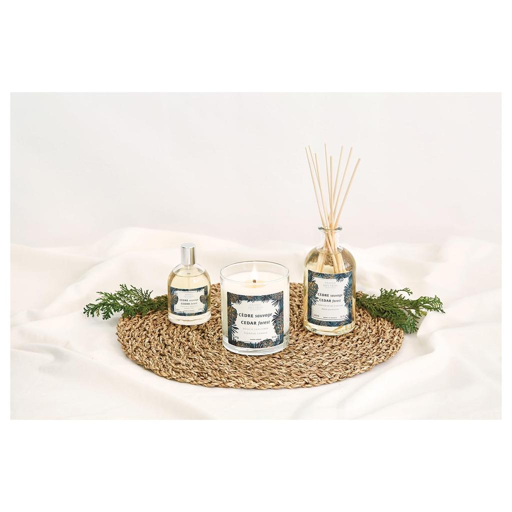 Panierdessens Home Fragrance Diffuser, Cedar Forest Scent (Mother's Day, White Day, High-Quality Gift, New Life, Boss, Mom Friends, Graduation, France