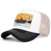2025 Creative New Webhat SKYRIDER Airplane Street Dance Skateboarding Hip Hop Hat Truck Hat Outdoor Sports Sunshade Baseball Hat