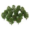 80Pcs 3.5cm HO OO Scale Model Trees Train Railroad Layout Diorama For Wargame Scenery