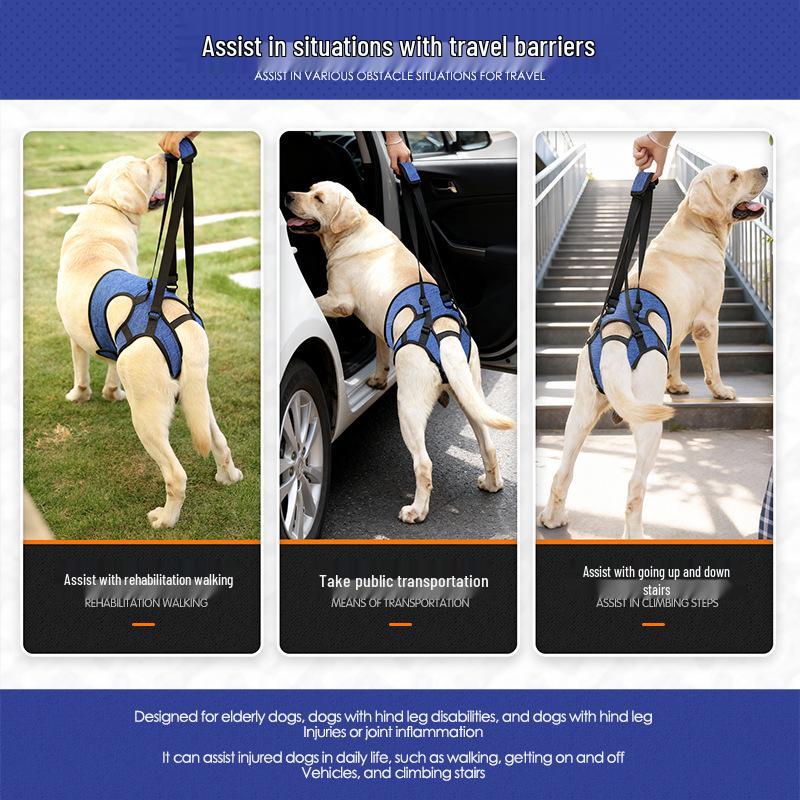 Achterbeenondersteuningsharnas voor Honden met een Handicap en Oudere Honden - Revalidatie & Reis Hulp