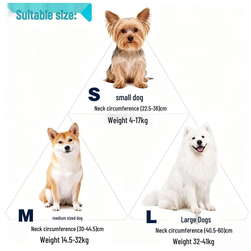Nylon Dog Leash & Collar Set with Anti-Surge Design for Small to Medium Dogs - Fast Shipping