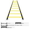 Agility Training Ladder