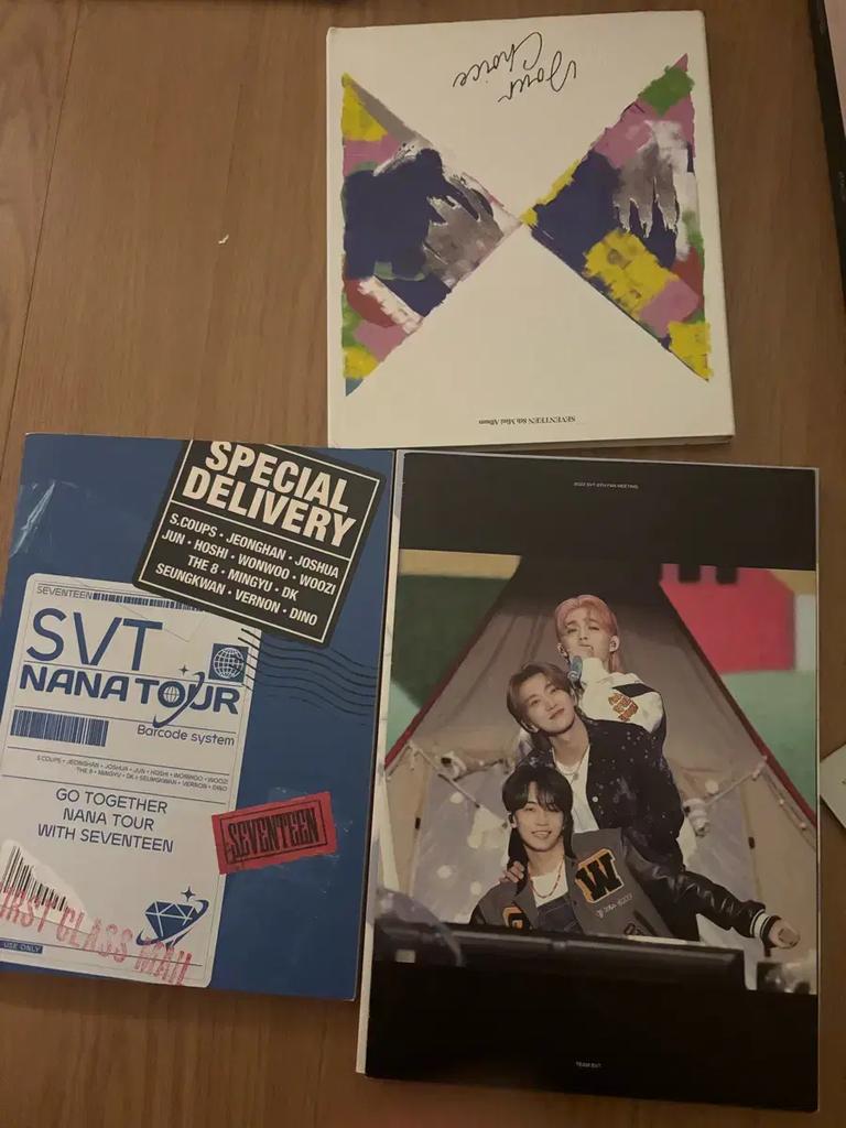 SEVENTEEN Hyeja Defective Disposal + Unofficial Goods 2nn 6kg Used