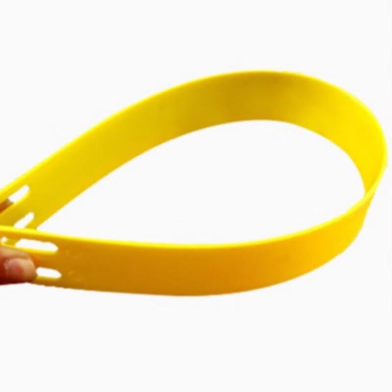 JingNong Agility Ladder