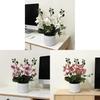 Butterfly Orchid Artificial Plant With Base For Wedding Decor And Home Office Display