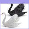 Modelo de Cisne de PVC de Animal Salvaje con Diseño Realista para Decoración Educativa Infantil