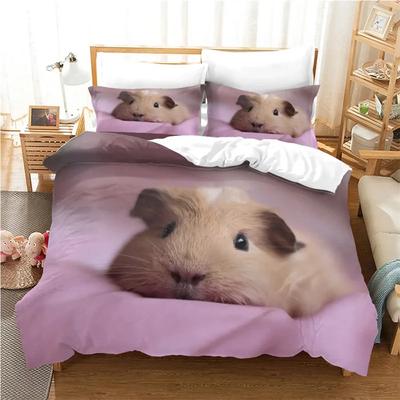 Biancheria da letto – Completi lenzuola e set da letto