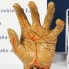 Zombie Hand Statue Keys Organizer Jewelry Holder Palm Resin Figurine Sculpture Halloween Home Office Desktop Ornament