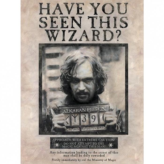 HARRY POTTER Wanted Sirius Black Canvas Print