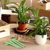 30Pcs/Box Plant Rooting Fertilizer New Indoor Potted Plant Growth Enhancer Bar Universal Plant Nutrition Stick Garden Supplies