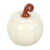 Pumpkin Oil Burner