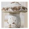 large white mushroom